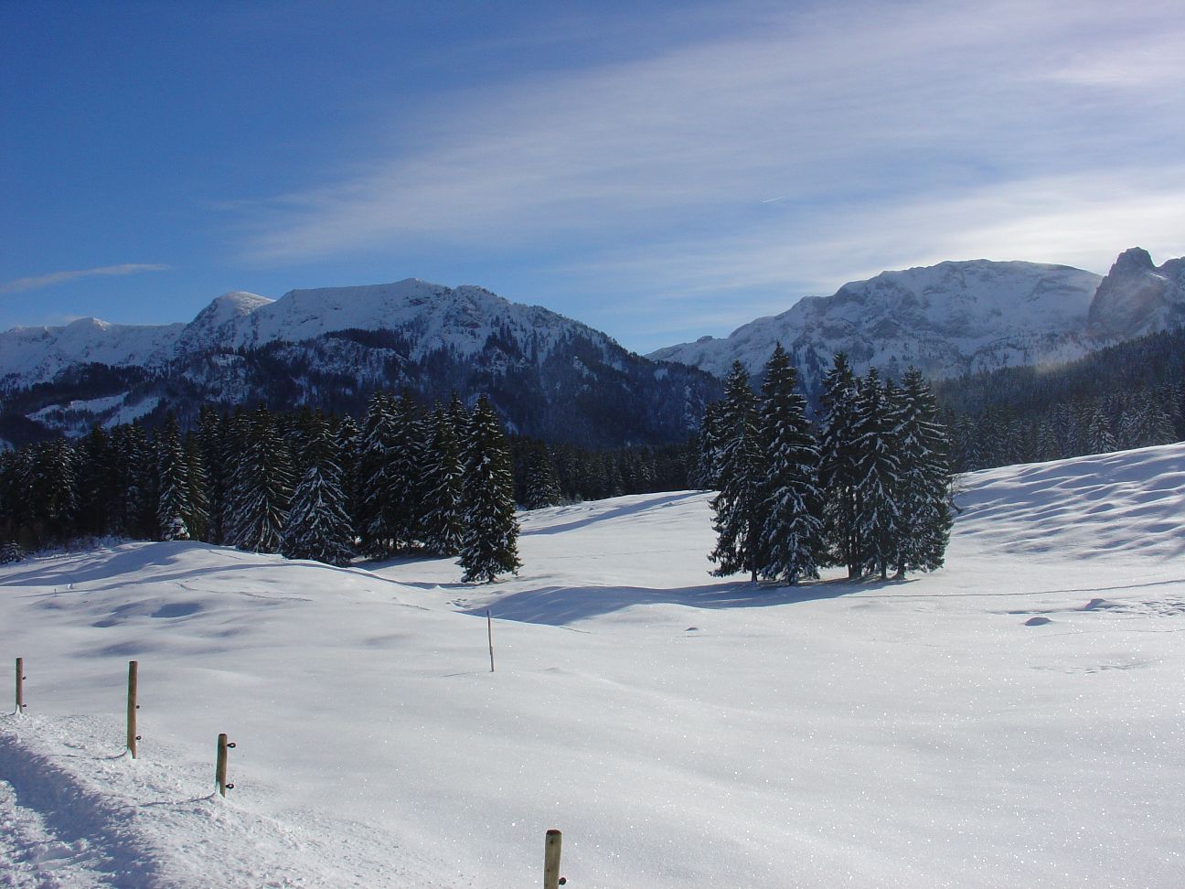 Die Hochebene auf dem Weg zur Buchenbergalm